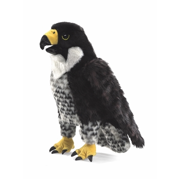 stuffed peregrine falcon