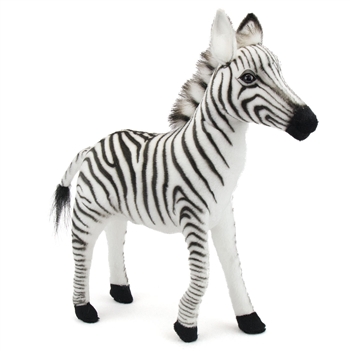 hansa zebra