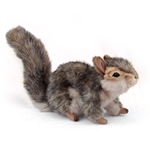 stuffed gray squirrel