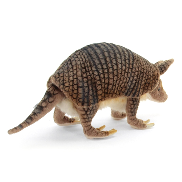 real stuffed armadillo for sale